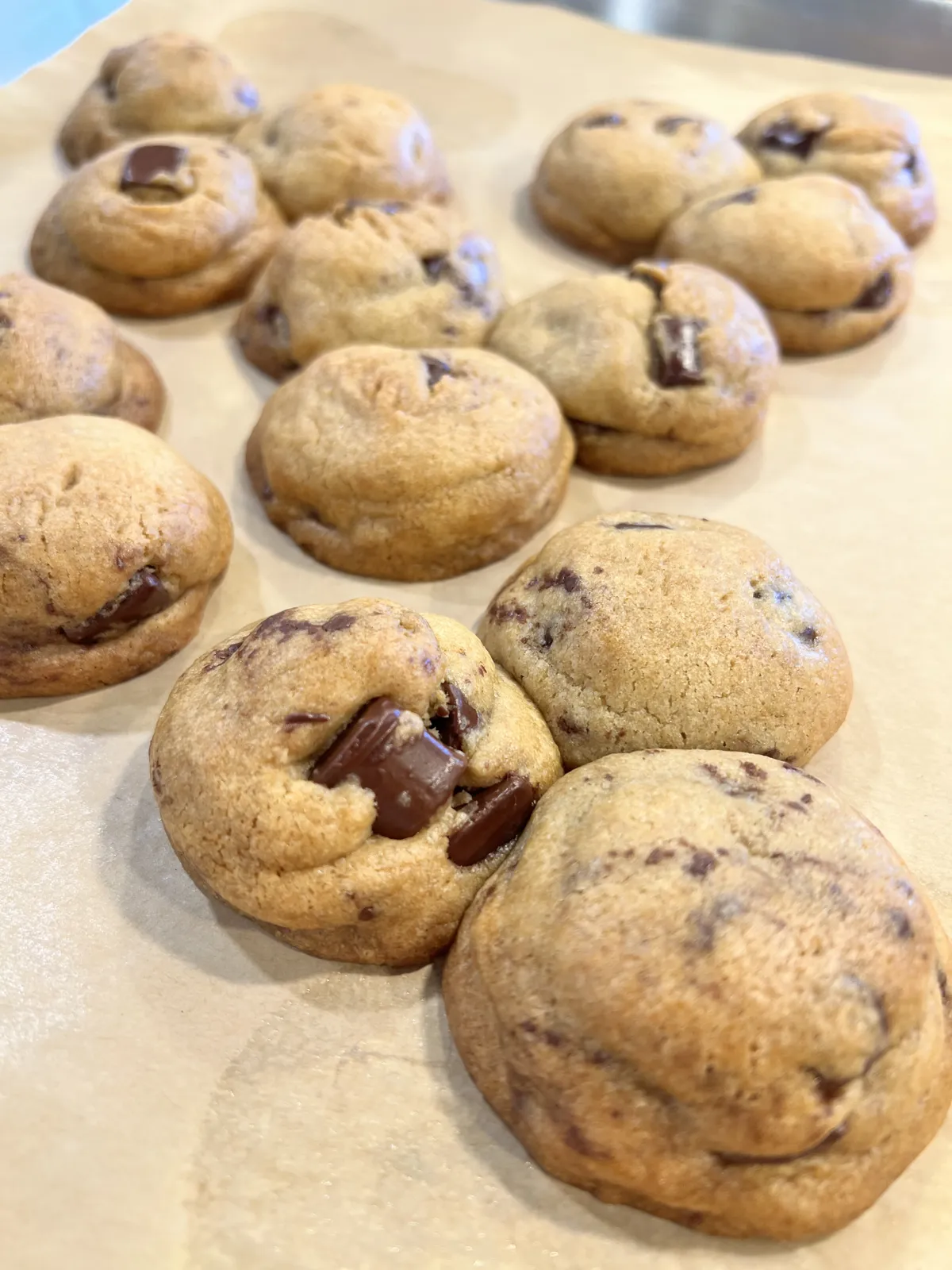Fresh-baked chocolate chunk cookies
